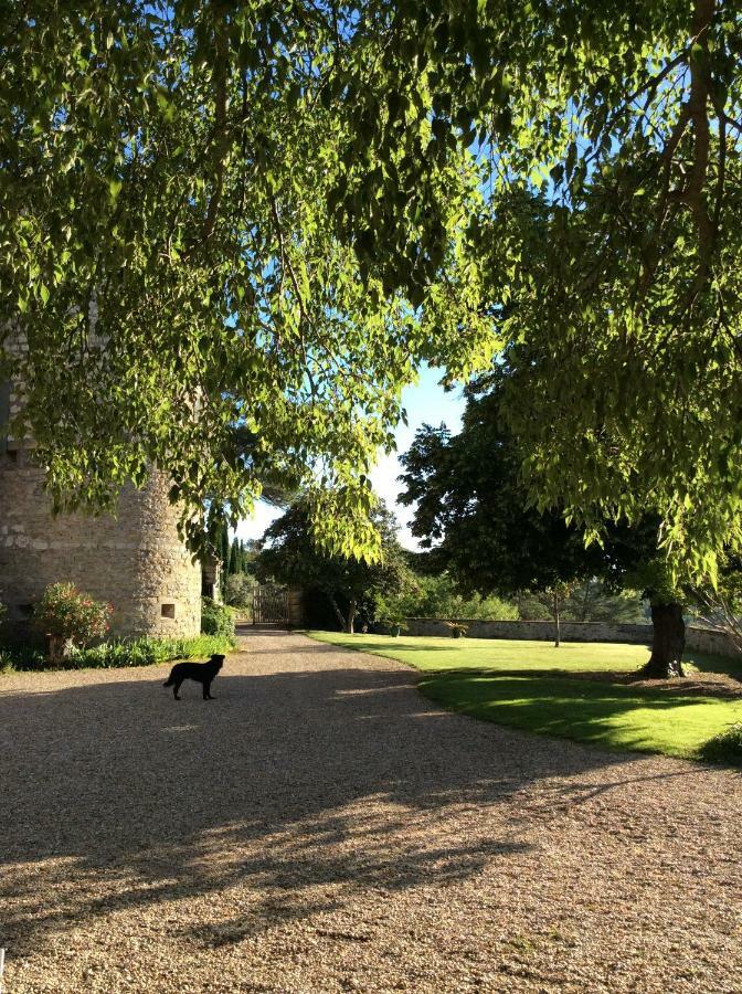 Chateau De Rousson Rousson (Gard)